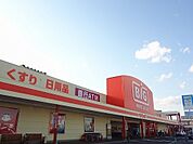 【スーパー】ザ・ビッグ郡山店まで1300ｍ