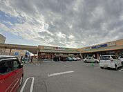 【ドラッグストア】くすりのレデイ 野市店まで2700ｍ
