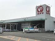 【ホームセンター】コメリハード＆グリーン児玉店まで1400ｍ