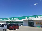 【ドラッグストア】エバグリーン様まで400ｍ