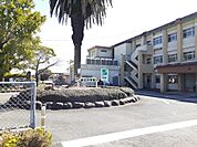 【小学校】宮崎市立赤江小学校まで200ｍ