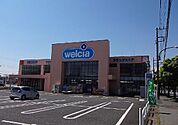 【ドラッグストア】ウエルシア市原国分寺台店まで600ｍ