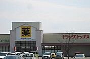 【ドラッグストア】ドラッグトップス新津店まで1600ｍ