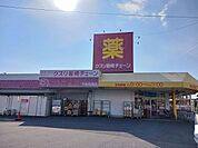 【ドラッグストア】クスリ岩崎チェーン下松花岡店まで1100ｍ