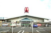 【ホームセンター】コメリハード＆グリーン横田店まで700ｍ