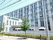 【総合病院】茅ケ崎徳洲会病院まで550ｍ