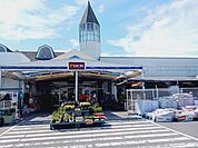 【ホームセンター】ＤＣＭ伊予店様まで1400ｍ