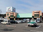 【スーパー】Aコープいまばり愛彩店まで650ｍ