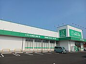【ドラッグストア】ザグザグ　安江店まで650ｍ