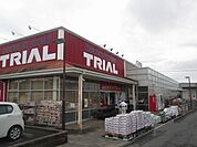 トライアル　佐知川店まで1300ｍ