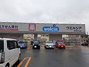 【ドラッグストア】ウエルシア新潟中山店まで750ｍ