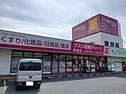 【ドラッグストア】クスリ岩崎チェーン新地店まで1200ｍ