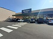 【ドラッグストア】マツモトキヨシ　宮川店まで920ｍ
