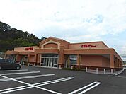 【ドラッグストア】とをしや　蟻ヶ崎店まで650ｍ