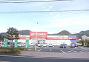 【ドラッグストア】ウェルネス 大田中央店まで260ｍ