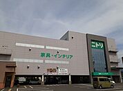 【ホームセンター】ニトリ　松本高宮店まで600ｍ