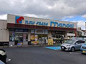 【スーパー】万代　加納店まで1110ｍ