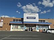 【ドラッグストア】ウエルシア薬局　伊那上新田店まで2000ｍ