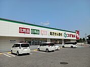 【ドラッグストア】スギ薬局能登川店様まで740ｍ