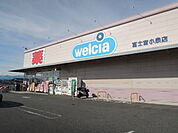 【ドラッグストア】ウエルシア　富士宮小泉店まで800ｍ