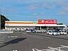 周辺：ダイレックス今治石井店まで1400ｍ