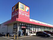【ドラッグストア】サンドラッグ龍ケ岡店まで460ｍ