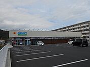 【ドラッグストア】GENKY五個荘店様まで800ｍ