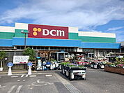 【ホームセンター】DCMまで800ｍ