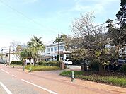 【小学校】宮崎市立木花小学校まで300ｍ