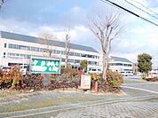 【市役所・区役所】甲南地域市民センターまで450ｍ