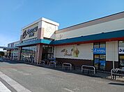 【スーパー】遠鉄ストア菊川店まで1100ｍ