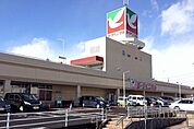【スーパー】ヨークベニマル平野店まで150ｍ