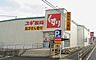 周辺：【ドラッグストア】スギドラッグ　新林店まで700ｍ