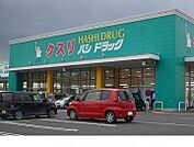 【ドラッグストア】ハシドラッグ南福島店まで1200ｍ