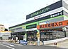 周辺：【ホームセンター】ロイヤルホームセンターまで500ｍ