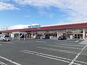 【スーパー】ヤマザワまで240ｍ