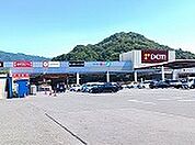 【ホームセンター】DCM坂店まで700ｍ
