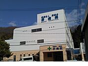 【総合病院】枡病院まで1900ｍ