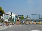【小学校】松橋小学校まで950ｍ
