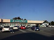 【スーパー】リオン・ドール高根沢店まで1002ｍ
