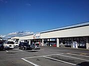 【ドラッグストア】カワチ薬品大田原南店まで1600ｍ