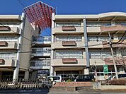 【小学校】宇都宮市立富士見小学校まで240ｍ