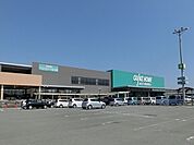 【ホームセンター】カインズ浜松雄踏店まで230ｍ