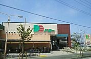 【スーパー】ドミーつつじが丘店まで1317ｍ