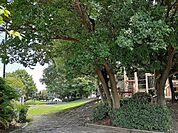 【公園】雨池公園まで400ｍ