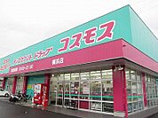 【ドラッグストア】コスモス鯛浜店さんまで450ｍ