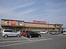 周辺：【スーパー】マルヨシセンター新居浜東店様まで550ｍ