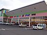 周辺：【スーパー】ディオ東予店様まで1300ｍ