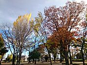 【公園】くじら森公園まで110ｍ