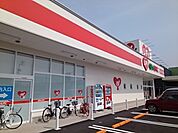 【ドラッグストア】くすりのレデイ古川店様まで700ｍ